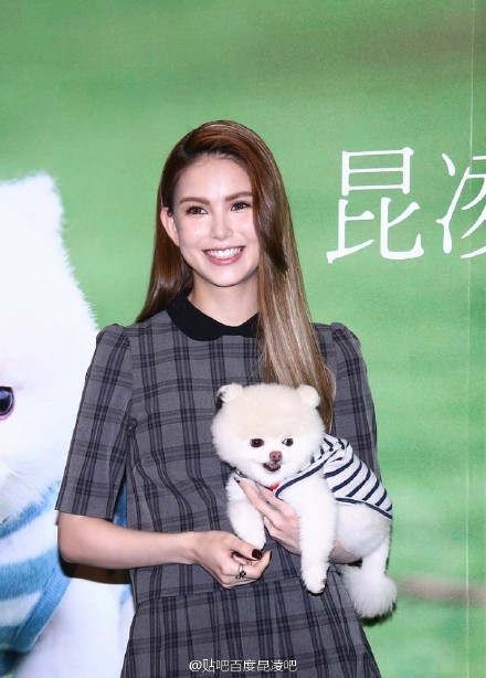 张梓琳的狗yoyo是什么品种的？盘点各大