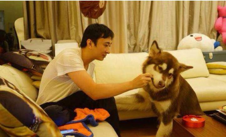 张梓琳的狗yoyo是什么品种的？盘点各大