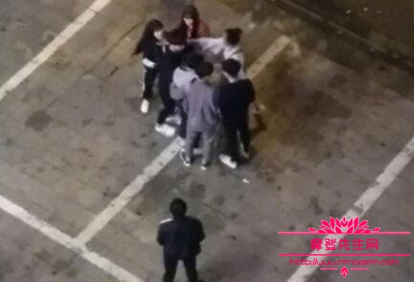 王乐乐杨清柠怎么回事分手原因(杨清柠表白王乐乐疑似想要复合)