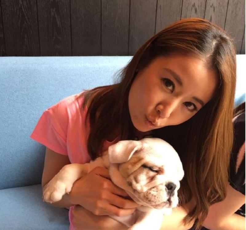 张梓琳的狗yoyo是什么品种的？盘点各大