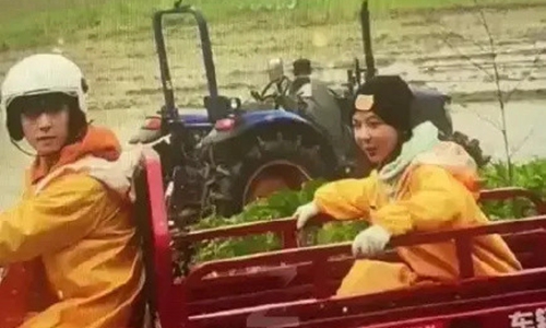 张艺兴杨紫恋情来了是真的吗(杨紫张艺兴亲自回应恋情传闻)