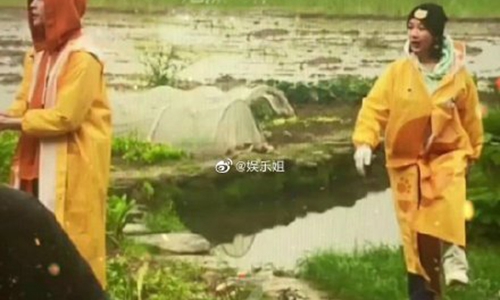 张艺兴杨紫恋情来了是真的吗(杨紫张艺兴亲自回应恋情传闻)