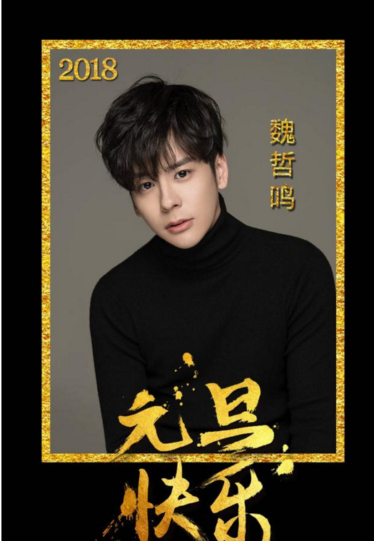 魏哲鸣与老婆王岚已离婚详情(魏哲鸣前妻王岚新男友) 魏哲鸣与老婆王岚已离婚详情(魏哲鸣前妻王岚新男友)