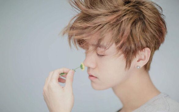 鹿晗的荧幕初吻献给娜扎(鹿晗的银幕初吻)