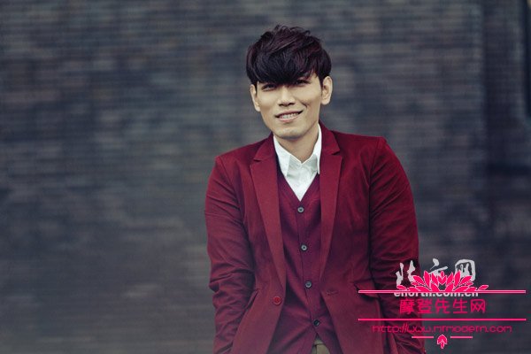 杨宗纬为什么被人叫鸽王(杨宗纬的鸽子原唱)