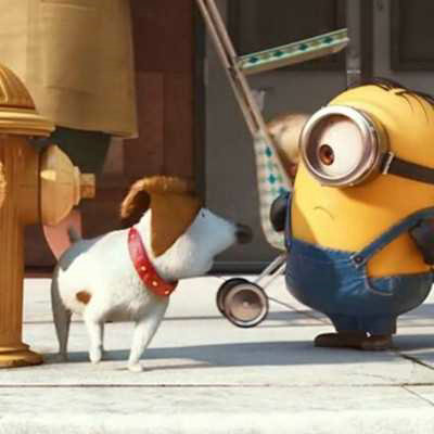 小黄人票房破纪录(大黄蜂国内票房) 小黄人票房破纪录(大黄蜂国内票房)