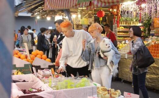 吴绮莉报警找小龙女怎么回事(林凤娇和吴绮莉见面解决小龙女)