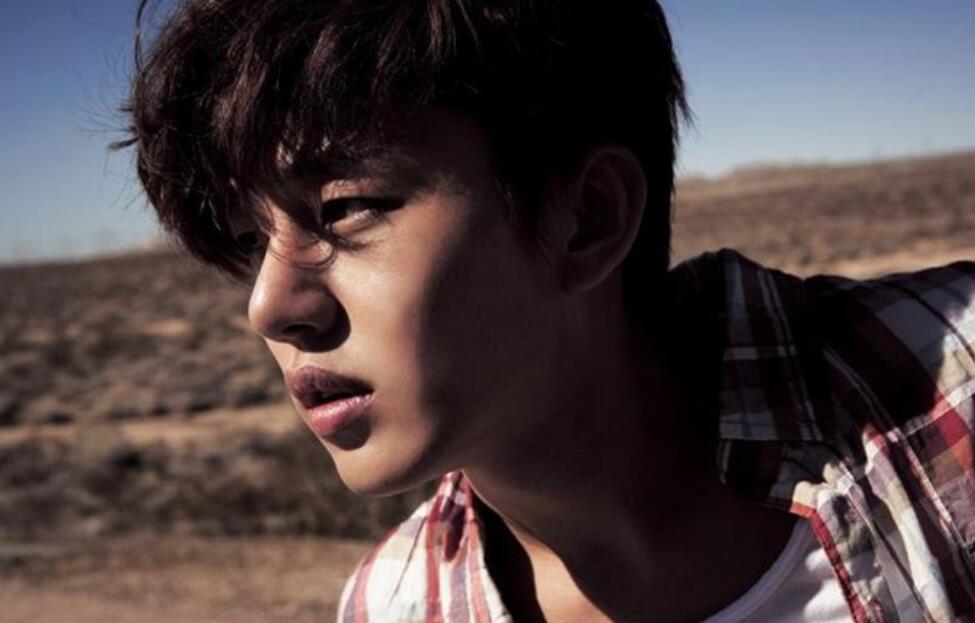 刘亚仁女友是宋慧乔还是林秀晶(宋慧乔刘亚仁已承认交往)