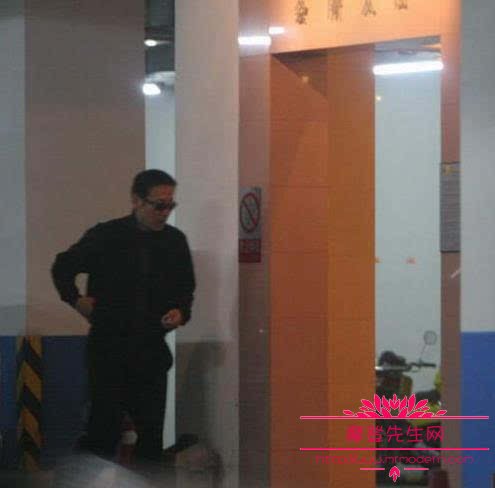 左小青是不是运动员出身？左小青和陈道明包(左小青和陈道明怎么回事)