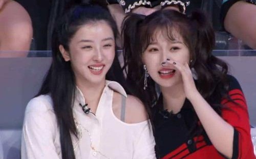 赵小棠为什么叫水水跟虞书欣关系怎么样(赵小棠和虞书欣谁更有钱)