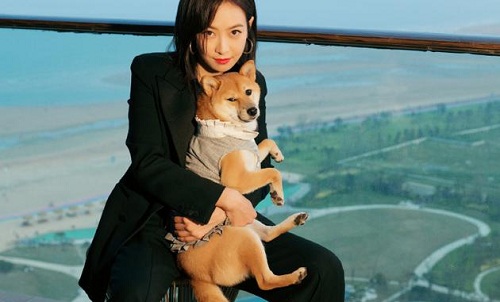 宋茜穿镂空抹胸装秀性感图片(宋茜镂空礼服)