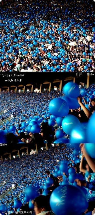 解读应援是什么意思(什么叫应援)