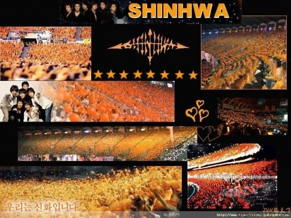 解读应援是什么意思(什么叫应援)