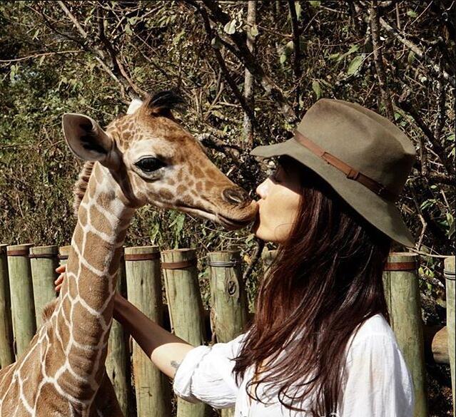 李美琪吴彦祖什么关系