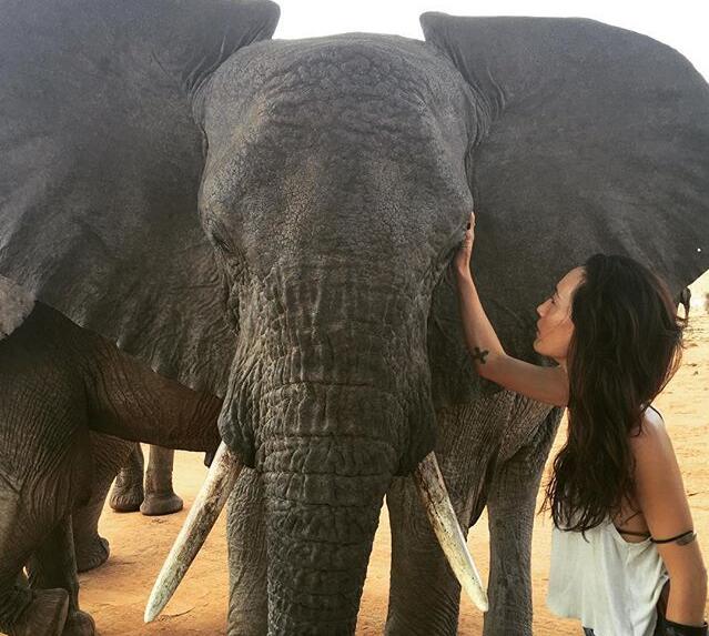 李美琪吴彦祖什么关系