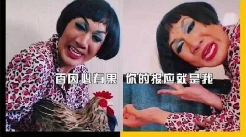 百因必有果你的报应就是我什么意思怎么火的(百因必有果你的报应就是我什么意思表情包)