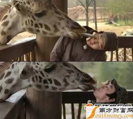 李光洙为什么叫长颈鹿？李光洙被人叫李小爱(李光洙长颈鹿表情包)