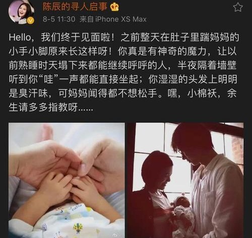 主持人陈辰生女官宣喜讯(主持人陈辰结婚了吗)