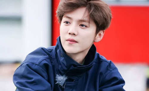 王梦秋是谁和鹿晗什么关系(鹿晗王梦秋天涯酒店) 王梦秋是谁和鹿晗什么关系(鹿晗王梦秋天涯酒店)