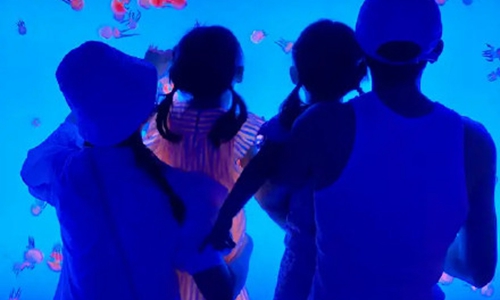 谢娜二胎已经顺利生产(曝谢娜二胎已生产) 谢娜二胎已经顺利生产(曝谢娜二胎已生产)