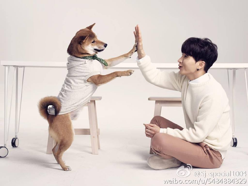 利特为什么叫斑马、关中？他为什么负债？