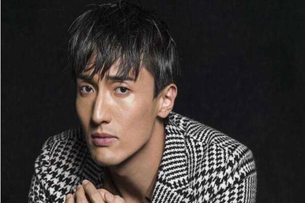 王传君疑似力挺翟天临(翟天临事件后续影响)