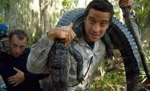 贝爷为什么不敢吃皮蛋？贝爷灌肠是哪一集站(贝爷生吃皮蛋)