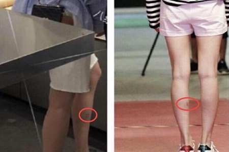 做家务的男人魏大勋开荒犁地(爱做家务的男人魏大勋)