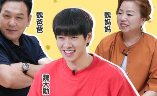 做家务的男人魏大勋开荒犁地(爱做家务的男人魏大勋)