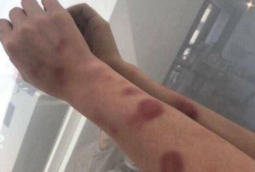 黄景瑜钟楚曦520秘密约会?(黄景瑜520约饭)