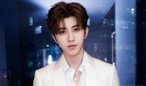 蔡徐坤为什么这么火(蔡徐坤因为什么火的)