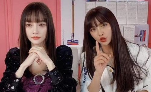 范冰冰李小璐禁止带货是怎么了(禁止李小璐和范冰冰直播卖货) 范冰冰李小璐禁止带货是怎么了(禁止李小璐和范冰冰直播卖货)