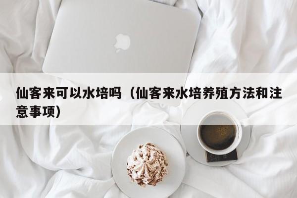 仙客来可以水培吗（仙客来水培养殖方法和注意事项） 