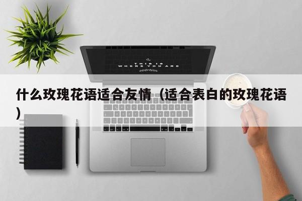 什么玫瑰花语适合友情（适合表白的玫瑰花语） 