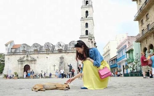 李亚鹏女友晒旧照气质出众(李亚鹏的女孩近照)