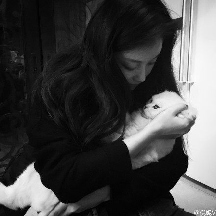 倪妮为什么叫喵总?倪妮和冯绍峰分手原因真(冯绍峰倪妮是什么关系)