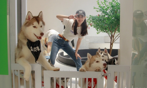 敦煌舞大火的哈妮克孜怎么不火了(外国网友评价哈妮克孜敦煌舞)