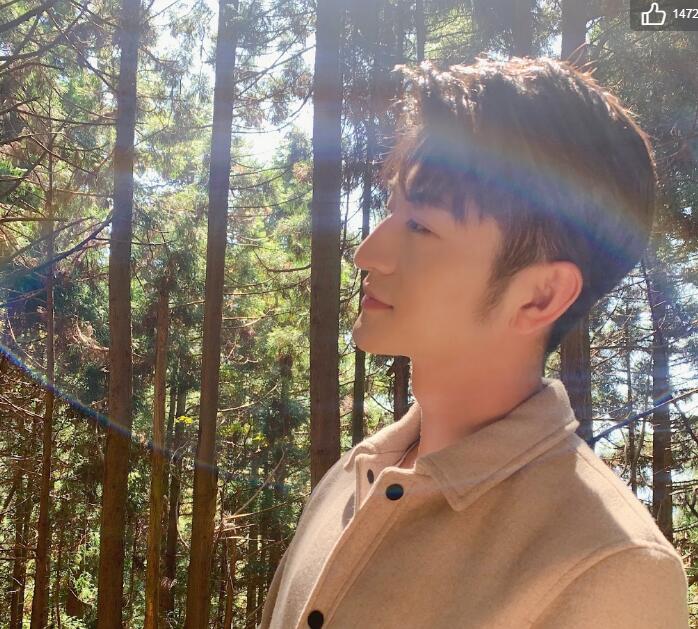 陈鲁豫卸妆后的照片(陈鲁豫近照)