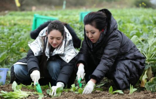 向佐郭碧婷出席向家晚宴微博狂撒狗粮(向佐到郭碧婷家吃饭)