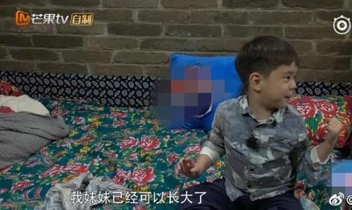 杜江霍思燕有没有二胎(杜江霍思燕有二胎吗)