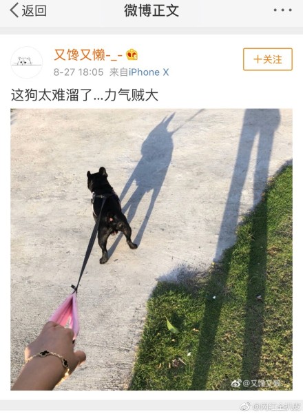 网红saya一的真名叫陈清伊