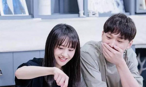 张恒郑爽分手会复合吗(张恒和郑爽真分手了吗)