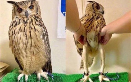 微博组团去烧王一博裤子是什么梗(王一博肖战裤子什么梗) 微博组团去烧王一博裤子是什么梗(王一博肖战裤子什么梗)