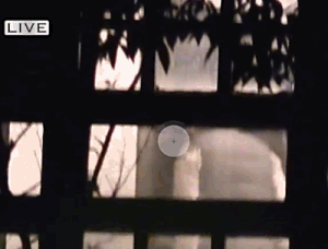 黄轩为什么叫国民初恋?黄轩现任女朋友疑似(黄轩之前的女友) 黄轩为什么叫国民初恋?黄轩现任女朋友疑似(黄轩之前的女友)