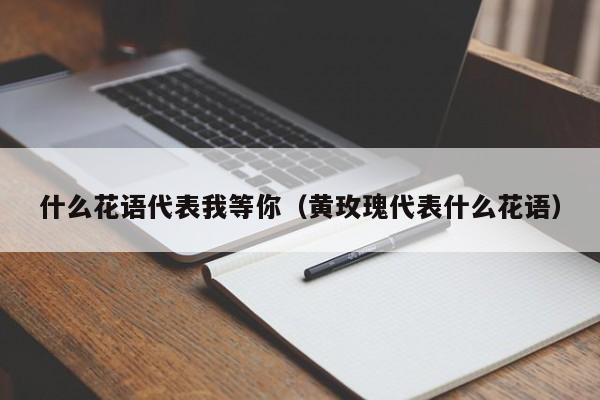 什么花语代表我等你（黄玫瑰代表什么花语） 