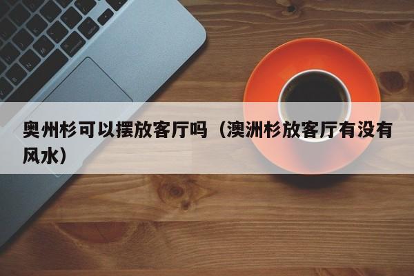 奥州杉可以摆放客厅吗（澳洲杉放客厅有没有风水） 