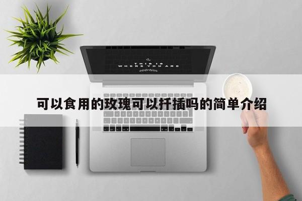 可以食用的玫瑰可以扦插吗的简单介绍 