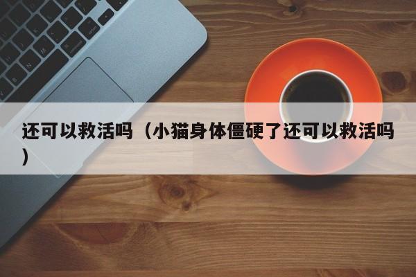 还可以救活吗（小猫身体僵硬了还可以救活吗） 