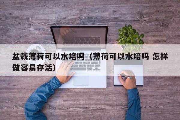 盆栽薄荷可以水培吗（薄荷可以水培吗 怎样做容易存活） 