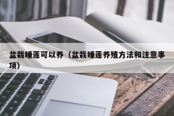 盆栽睡莲可以养（盆栽睡莲养殖方法和注意事项） 